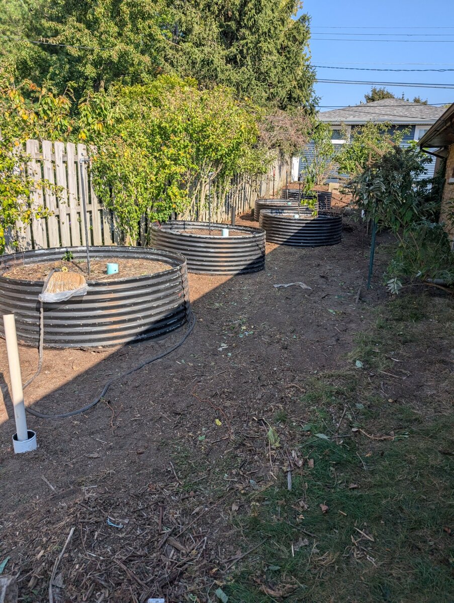 Garden Cleanup & Reorganization - After