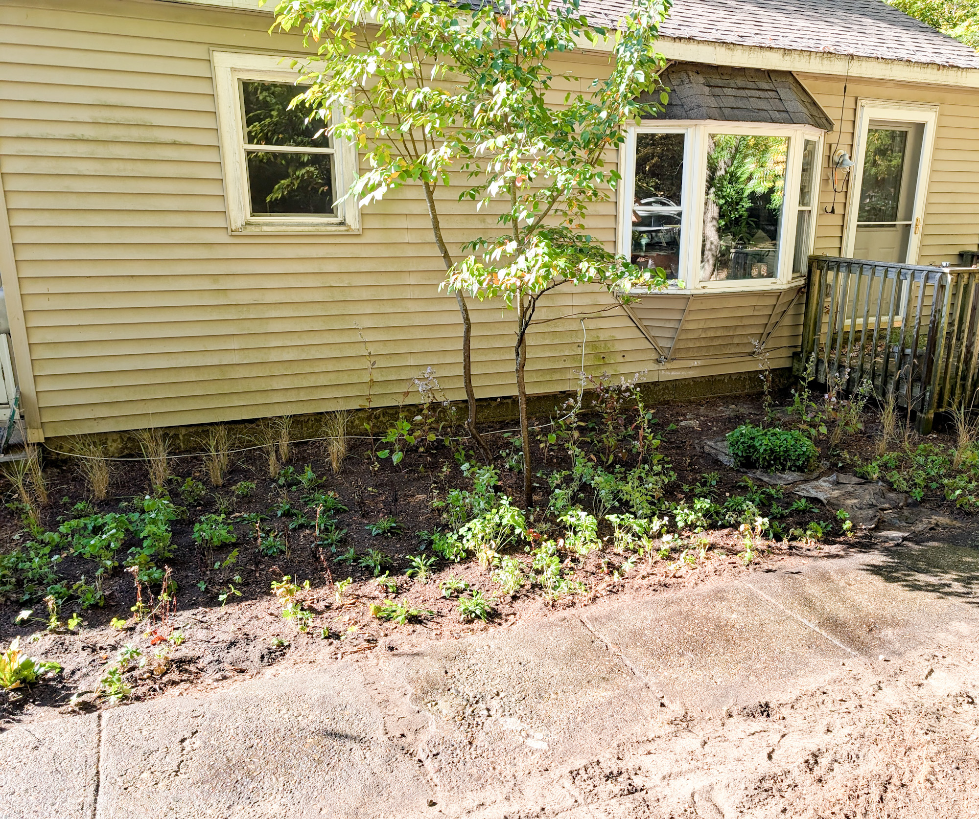 Landscape installation project in West Michigan